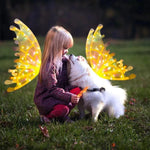 Load image into Gallery viewer, Electric Butterfly Wings Costume Magic Led Lights
