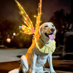 Load image into Gallery viewer, Electric Butterfly Wings Costume Magic Led Lights