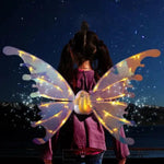 Load image into Gallery viewer, Electric Butterfly Wings Costume Magic Led Lights