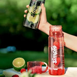 Load image into Gallery viewer, Fruit Infuser Detox Water Bottle With Rod - 620Ml