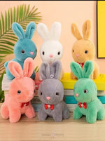 Load image into Gallery viewer, Cute And Adorable Colored Rabbit Design Plush Soft Toy - 30Cm

