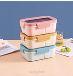 Load image into Gallery viewer, Double Compartment Lunch Box For School Kids - 900Ml Bento