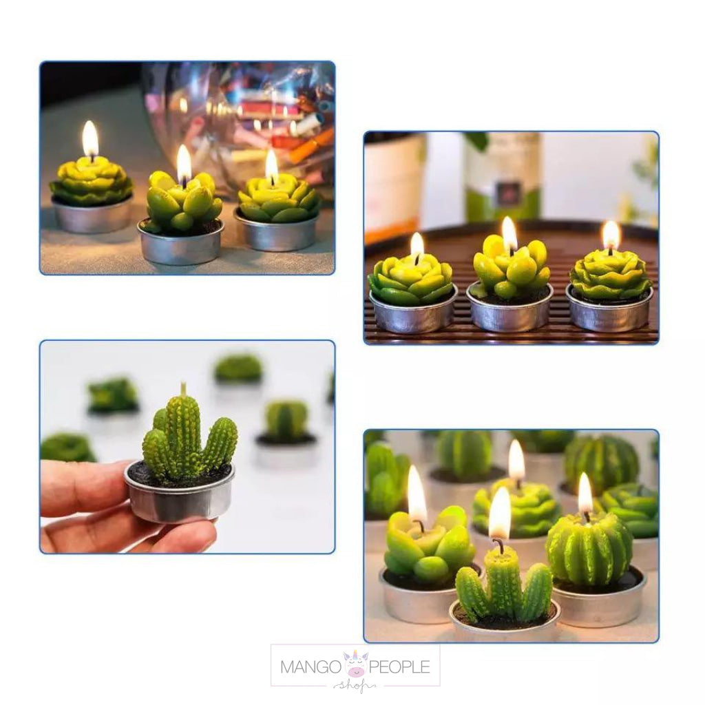 Mini Cactus Wax Candles Candles Mango People Local 