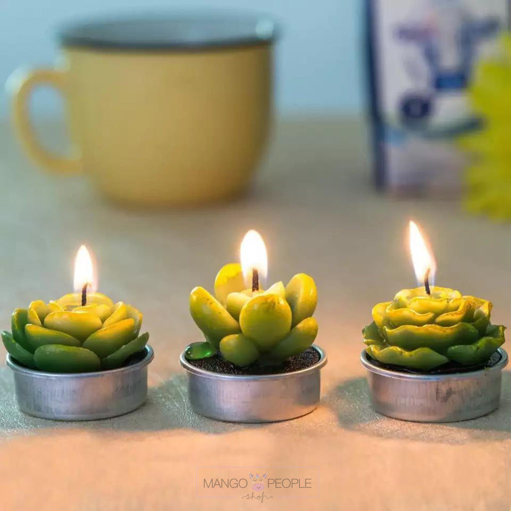 Mini Cactus Wax Candles Candles Mango People Local 