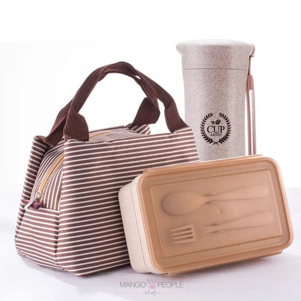 Two Compartment Lunch Box For Office With Water Bottle And Hand Bag Lunch Box Tiffin