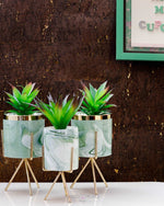 Load image into Gallery viewer, Coloured Marble Print Planter With Succulent Planter iBazaar 