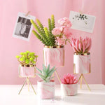 Load image into Gallery viewer, Coloured Marble Print Planter With Succulent Planter iBazaar Baby Pink S 