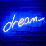 Load image into Gallery viewer, Dream Neon LED Light Neon Light Mango People Local 
