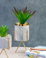 Load image into Gallery viewer, Modern Marble Print Planter With Succulent Planter iBazaar 
