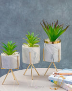 Load image into Gallery viewer, Modern Marble Print Planter With Succulent Planter iBazaar 