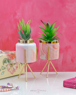Load image into Gallery viewer, Pink Marble Print Planter With Succulent Planter iBazaar 