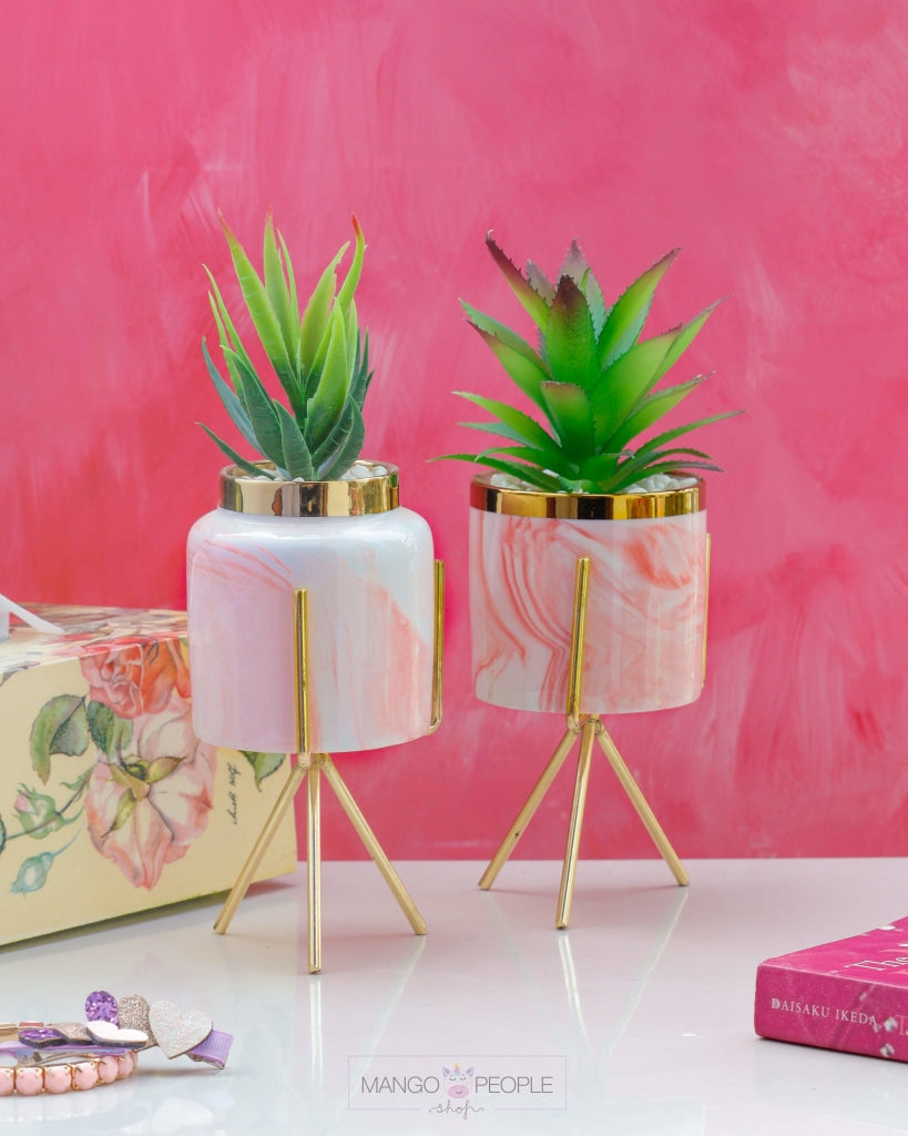 Pink Marble Print Planter With Succulent Planter iBazaar 