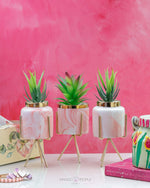 Load image into Gallery viewer, Pink Marble Print Planter With Succulent Planter iBazaar 
