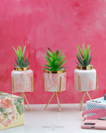 Load image into Gallery viewer, Pink Marble Print Planter With Succulent Planter iBazaar 