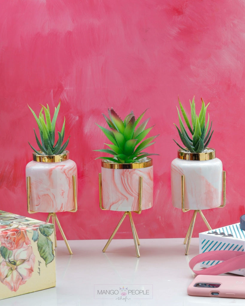 Pink Marble Print Planter With Succulent Planter iBazaar 